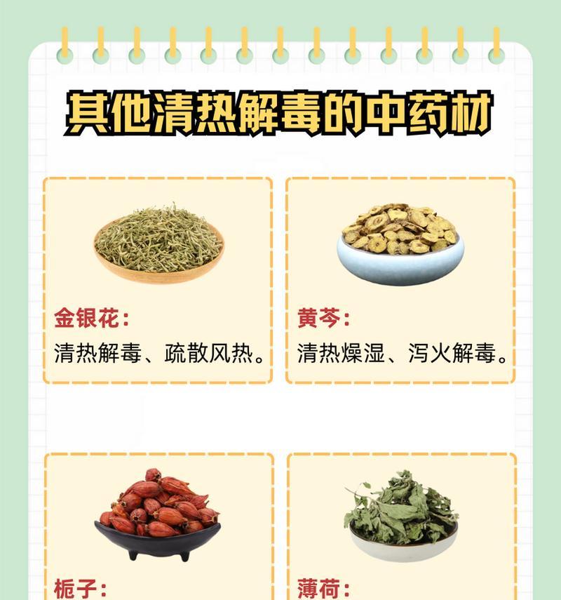 刺白色牡丹花的养护技巧是什么？如何保持其美丽？