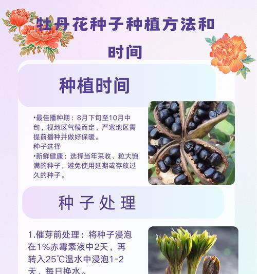 牡丹花豆绿现象如何处理？