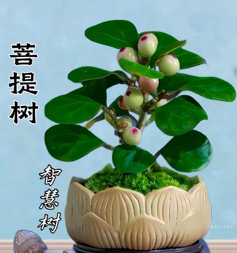 广东地区适合种植哪些盆景果树？如何进行养护？
