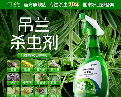 吊兰长虫了怎么处理？有哪些有效方法？