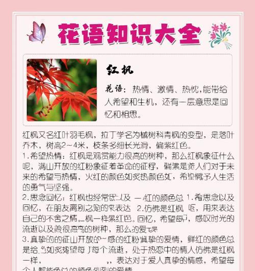 红枫养护需要注意什么？如何让红枫叶子更红？