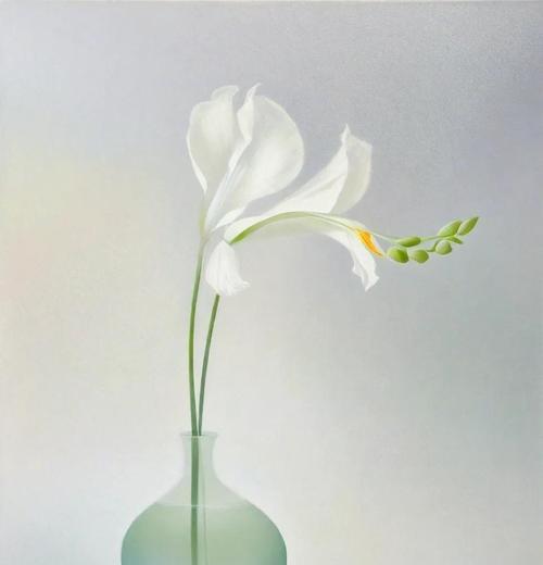 鸢尾花种植步骤是什么？如何确保其良好生长？