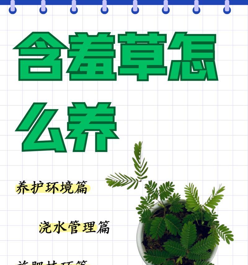 含羞草的害羞特性是如何表现的？含羞草有哪些独特之处？