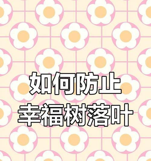 幸福树落叶的原因及预防措施是什么？