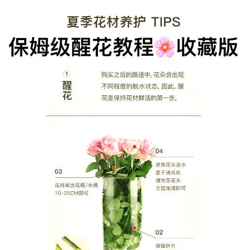玫瑰花期短怎么办？延长花期的秘诀是什么？