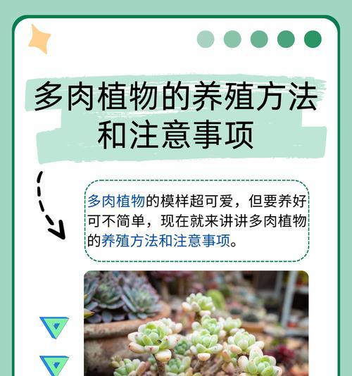 植子花的养殖技巧有哪些？怎样才能养好植子花？