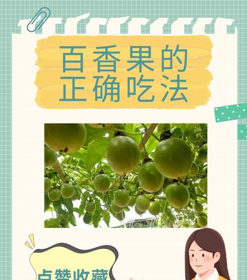 盆栽百香果的施肥技巧是什么？如何根据季节调整施肥？