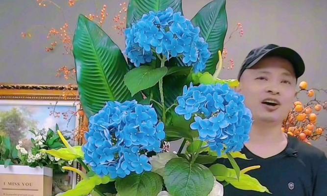 高级软装中花瓶插花的技巧是什么？如何选择适合的花瓶？
