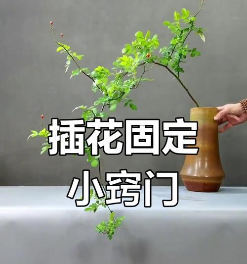 插花送朋友需要准备哪些材料？插花的步骤和技巧是什么？