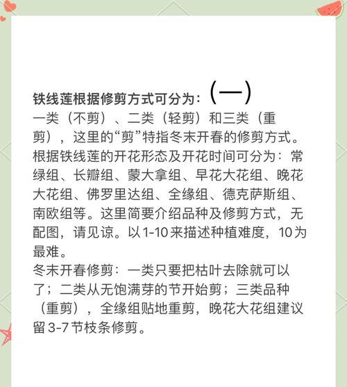铁树如何修剪？铁树修剪的最佳时机是什么时候？