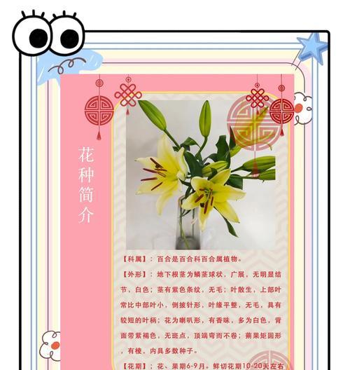玫瑰和百合如何长期养护？