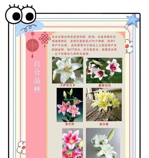 玫瑰和百合如何长期养护？
