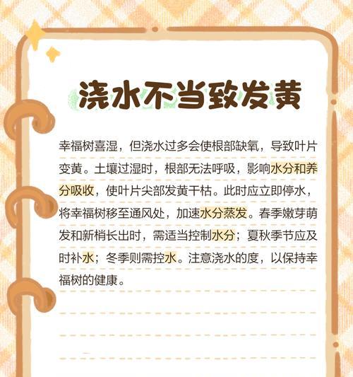 幸福树叶子干枯的原因是什么？如何恢复其生机？