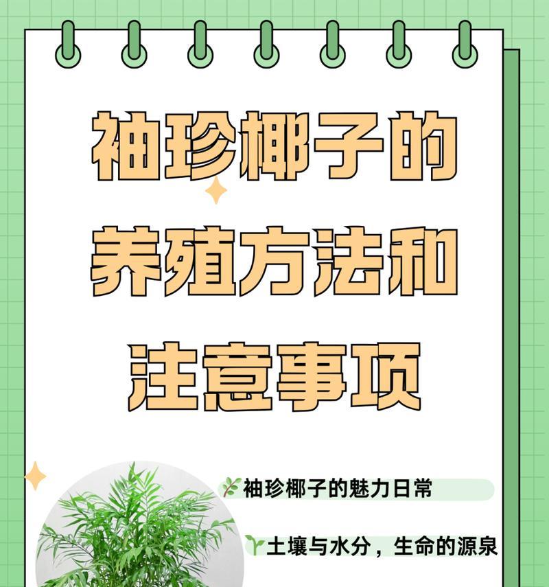 迷你椰子树怎么养？迷你椰子树的养护要点是什么？