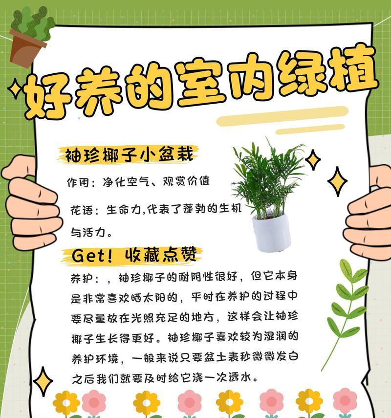 迷你椰子树怎么养？迷你椰子树的养护要点是什么？