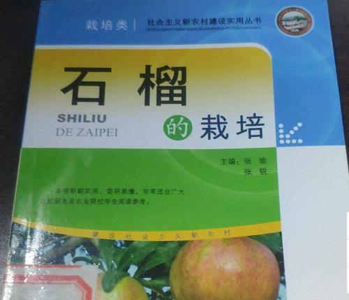 石榴种植的步骤和注意事项是什么？