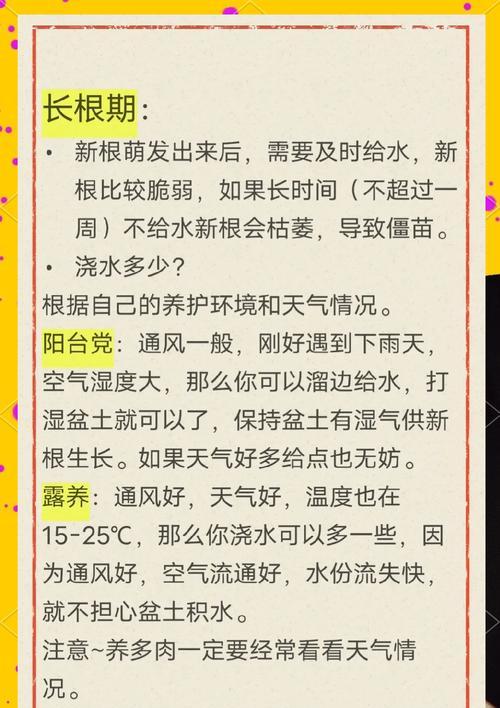 给花草浇水的最佳时间是什么时候？如何判断植物需水？