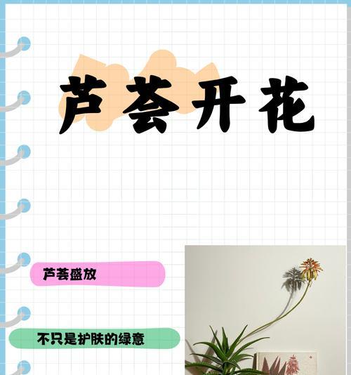 开花芦荟有哪些品种？不同品种的开花芦荟有何区别？