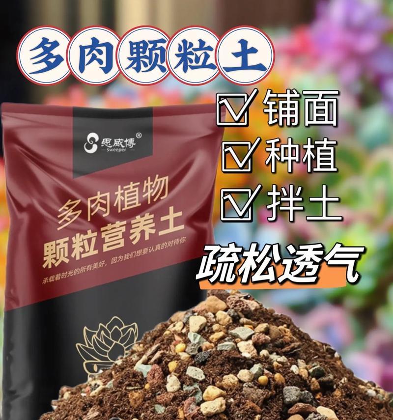多肉植物根部烂了怎么处理？如何预防？