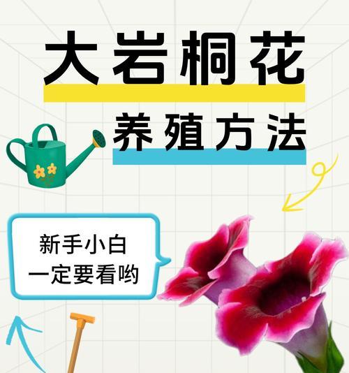 哪些花卉容易通过插扦繁殖？插扦成功的关键是什么？