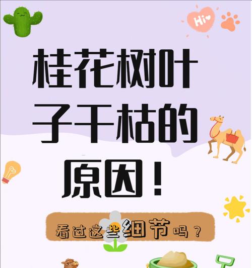 盆栽桂花叶子脱落的原因是什么？如何防止桂花掉叶子？