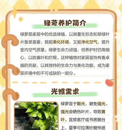 绿萝叶子发黄烂根的原因是什么？如何解决？