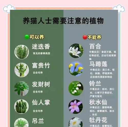 这种植物的特征和养殖方法是什么？