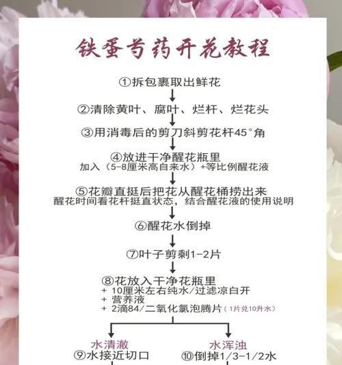 盆栽芍药花如何养护？遇到黄叶怎么办？