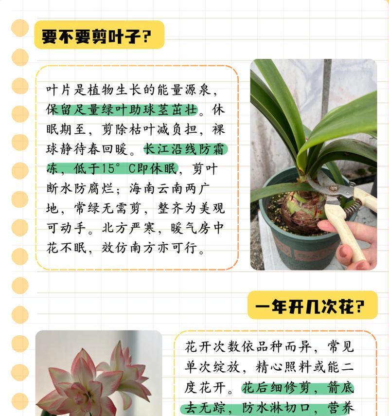 打顶和摘心的区别是什么？这两种植物修剪方法有何作用？