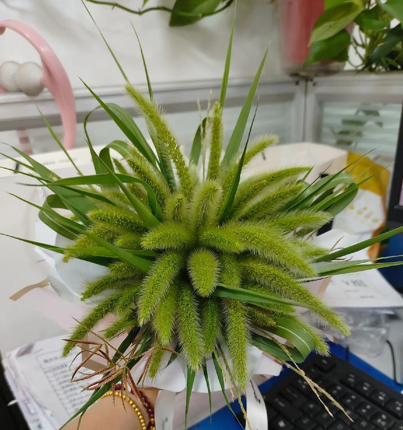 花语中情投意合的爱是什么？哪种花象征着完美的爱情？