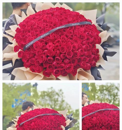 红色玫瑰花语代表了什么？