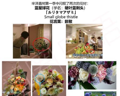 送给日语老师的花语有哪些选择？它们各自代表什么？