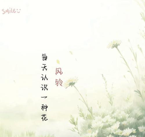 风铃草作为礼物送给朋友有何寓意？