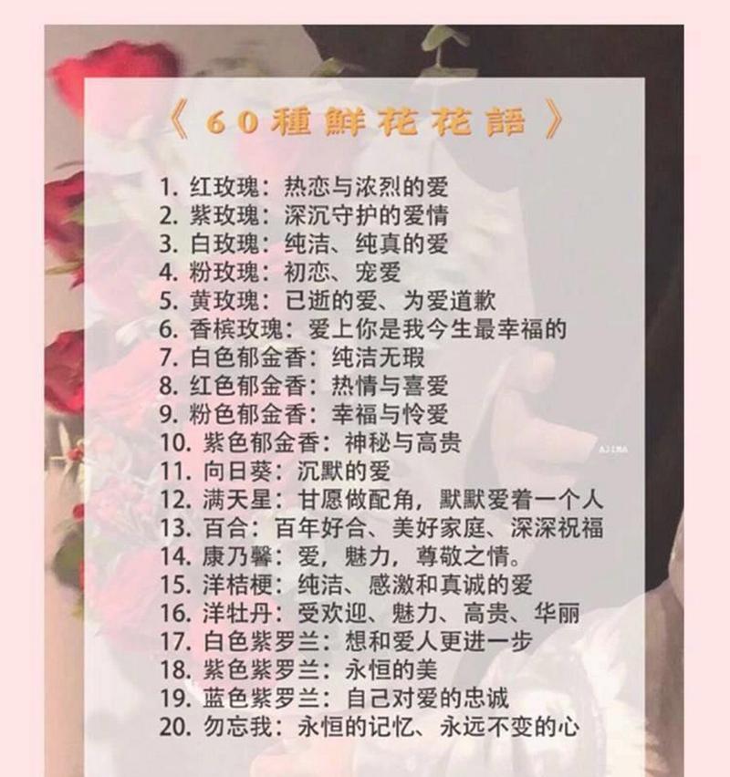 秋日花束的寓意与花语是什么？