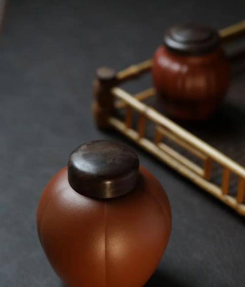 水壶的花语是什么？它在花语中代表什么？