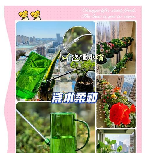 水壶的花语是什么？它在花语中代表什么？
