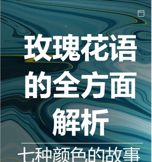 玫瑰花伞象征什么？花语有何深意？