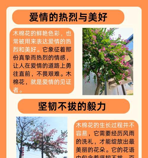 花语通常象征哪些花朵？
