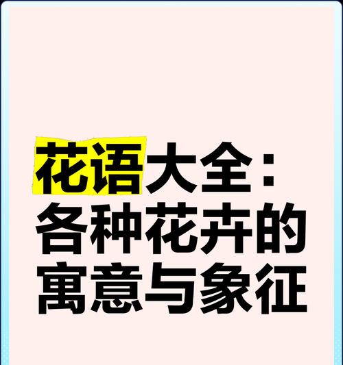 花语通常象征哪些花朵？
