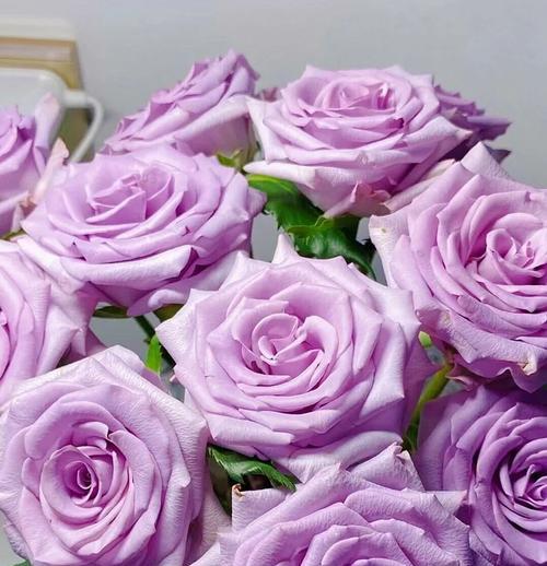 7朵白玫瑰花代表了哪些意义？