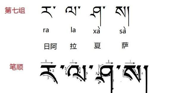 玫瑰在藏文中花语是什么？藏文玫瑰花语有何不同？
