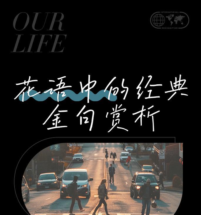 无悔永恒的爱花语代表什么？