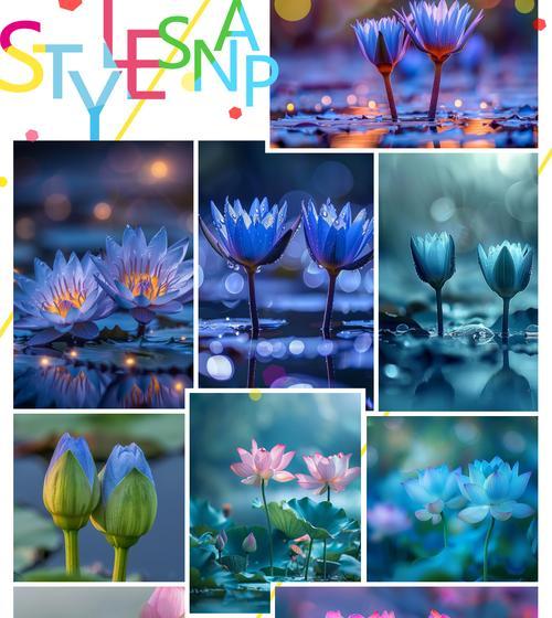 蓝莲花的花语代表了什么意义？