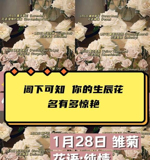 粉玫瑰的花语32朵是什么？32朵粉玫瑰传达了怎样的情感？