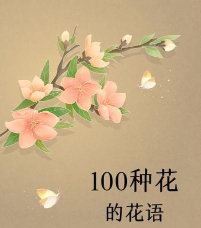 哪种花的花语是永远被铭记的爱？如何用花语表达永恒？