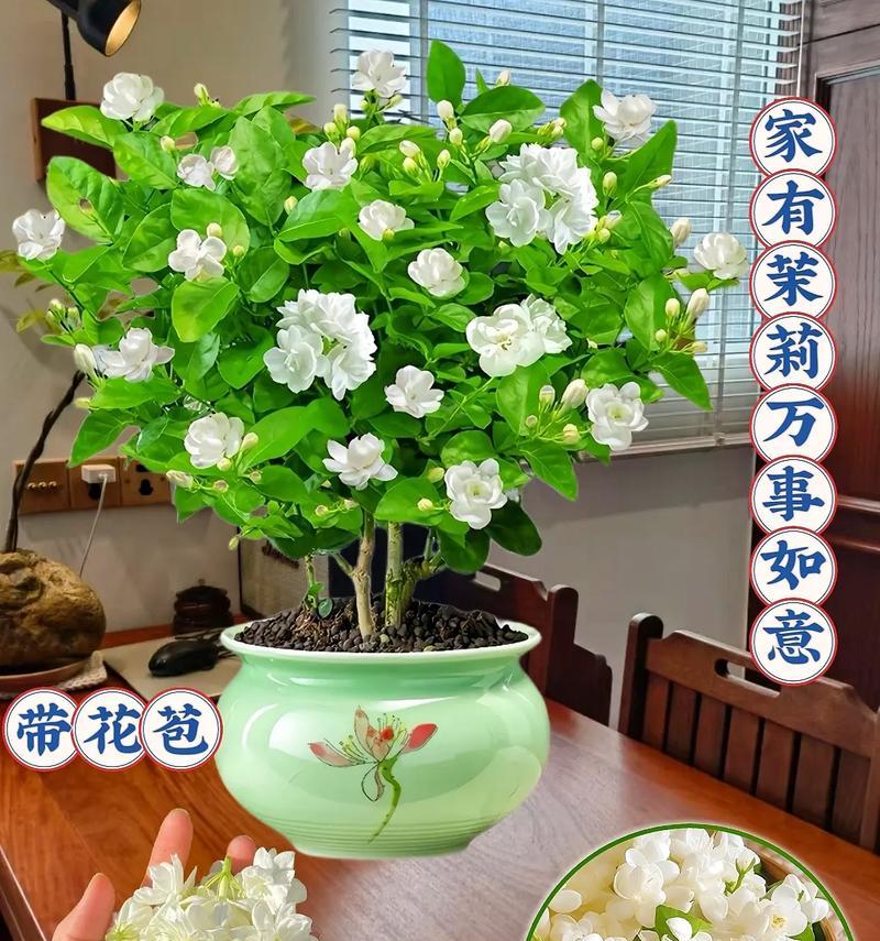 哪种花的花语代表否定句？它通常用来表达什么？