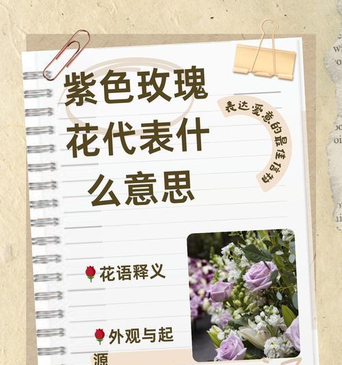 阿秀的玫瑰花语有何特别之处？
