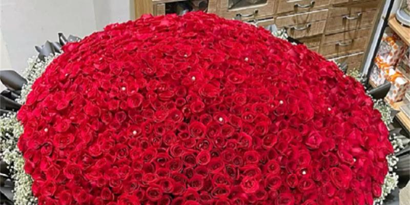999朵玫瑰花代表什么？999朵玫瑰花的深层含义是什么？