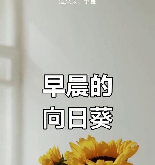 向日葵的花语代表了什么？如何用向日葵表达情感？