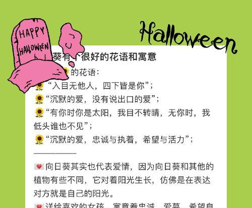 向日葵的花语代表了什么？如何用向日葵表达情感？